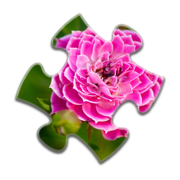 دانلود Flower Jigsaw Puzzles