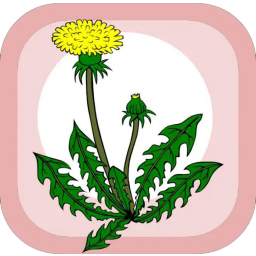 خواص عرقیات گیاهان دارویی سنتی