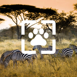 دانلود Animals Wallpaper HD