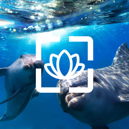 دانلود Beautiful Wallpaper HD