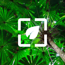 دانلود Nature Wallpaper HD