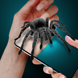 دانلود Spider on My Hand Joke دانلود Spider on My Hand Joke