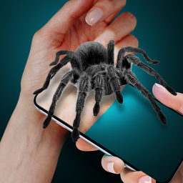 دانلود Spider on My Hand Joke