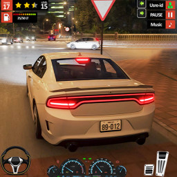 دانلود Driving School Simulator 2025