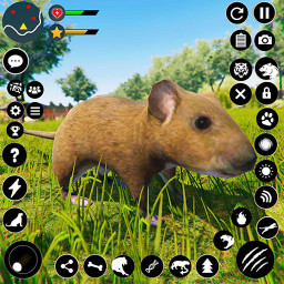 دانلود Wild Mouse Family Sim 3D
