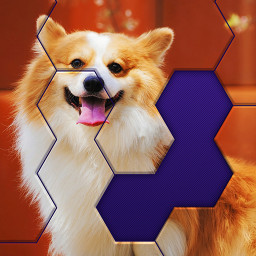 دانلود Hex Block Jigsaw Puzzle