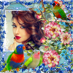 دانلود Bird Photo Frame