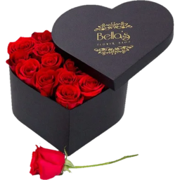 New Roses Stickers 2020 🌹 WAStickerApps Roses