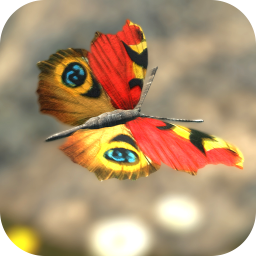 دانلود Butterfly Live Wallpaper Theme