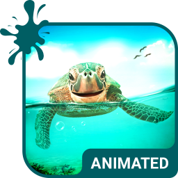 دانلود Cute Turtle Wallpaper Theme