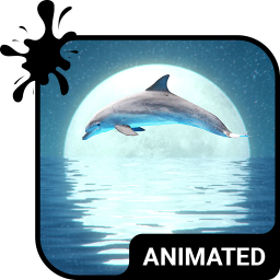 دانلود Dolphin Keyboard Wallpaper HD