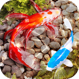 دانلود 3D Fish Tank Live Wallpaper دانلود 3D Fish Tank Live Wallpaper