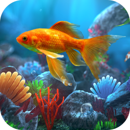 دانلود Ocean Live Wallpaper HD Theme
