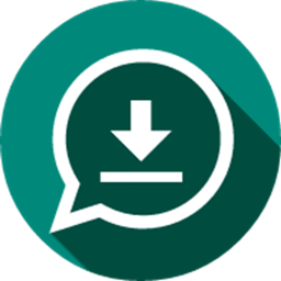 ذخیره استوری واتساپ