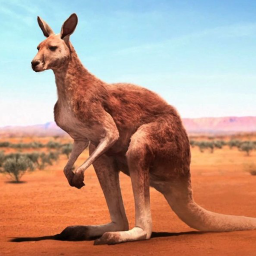 دانلود The Kangaroo