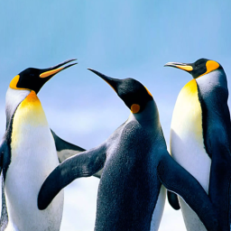 دانلود The Penguin