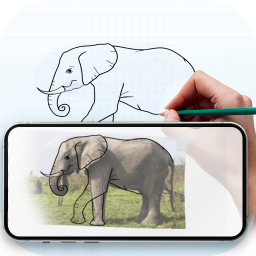 دانلود Draw : Trace & Sketch