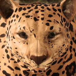 دانلود Ultimate Leopard Simulator