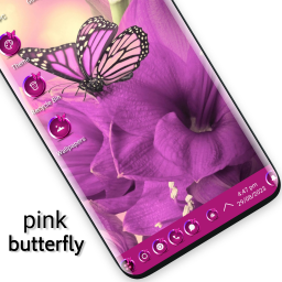 دانلود Pink Butterfly Stylish Theme