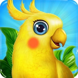 Bird Land Paradise: Pet Shop Game, Play with Bird