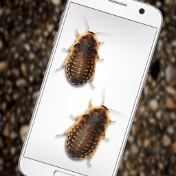 دانلود Bugs in Phone Funny Joke