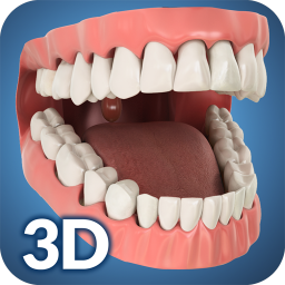 دانلود Dental Anatomy Pro.