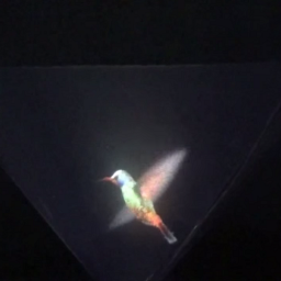 دانلود Vyomy 3D Hologram Hummingbird