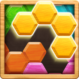 دانلود Wood Block Puzzle - Hexa