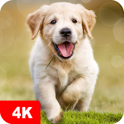 دانلود Dog Wallpapers & Puppy 4K