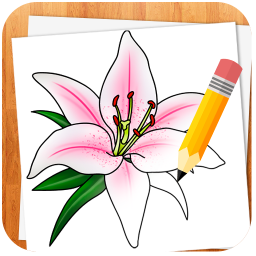 دانلود How to Draw Flowers