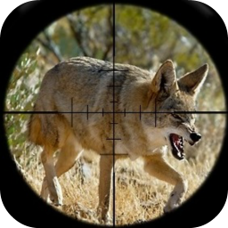 دانلود Coyote Hunting Calls