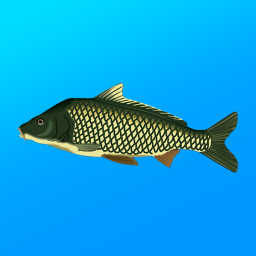 دانلود True Fishing. Simulator