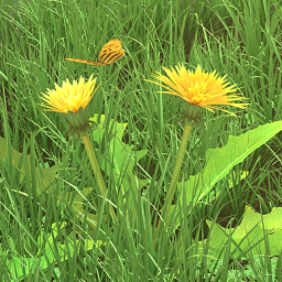دانلود Spring Flowers 3D LWP