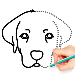 دانلود How To Draw Animal