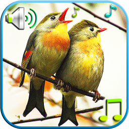 دانلود Birds Sounds & Ringtones