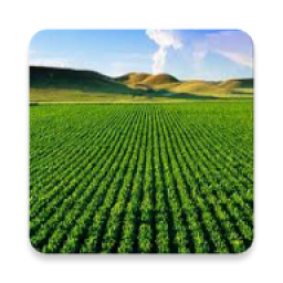 کسب درآمد از کشاورزی (تضمینی)