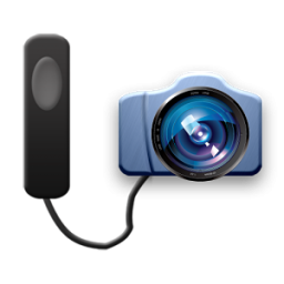 دانلود Remote Release
