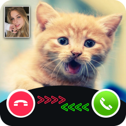 دانلود cat call you - fake video call