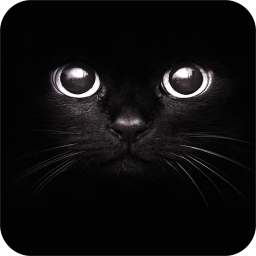 دانلود Black Wallpaper