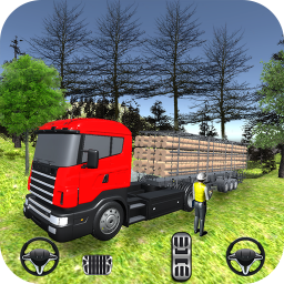 Truck Driver Cargo Transport