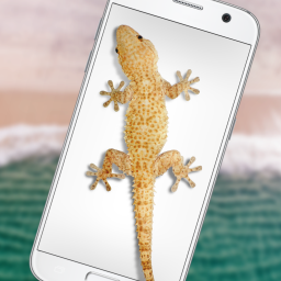 دانلود Lizard in phone funny joke