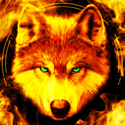 دانلود Fire Wallpaper Theme Lone Wolf