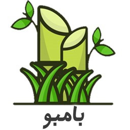 بامبو | پرورش انواع گل و گیاه