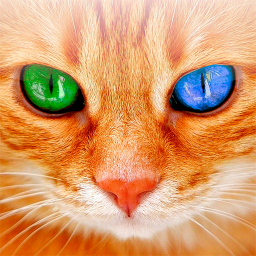دانلود Translator for Cats Prank دانلود Translator for Cats Prank