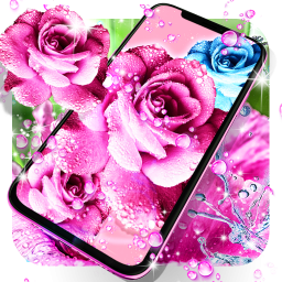 دانلود Rose pink water drop wallpaper