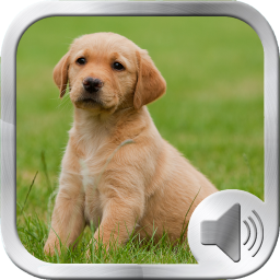 دانلود Dog Sounds Ringtones