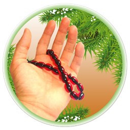 صحیفه سجادیه