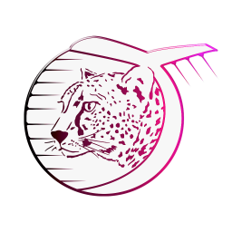 دانلود راشا سپهر