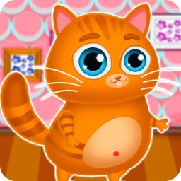 گربه بازی