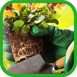 باغبانی و پرورش گل و گیاه در منزل